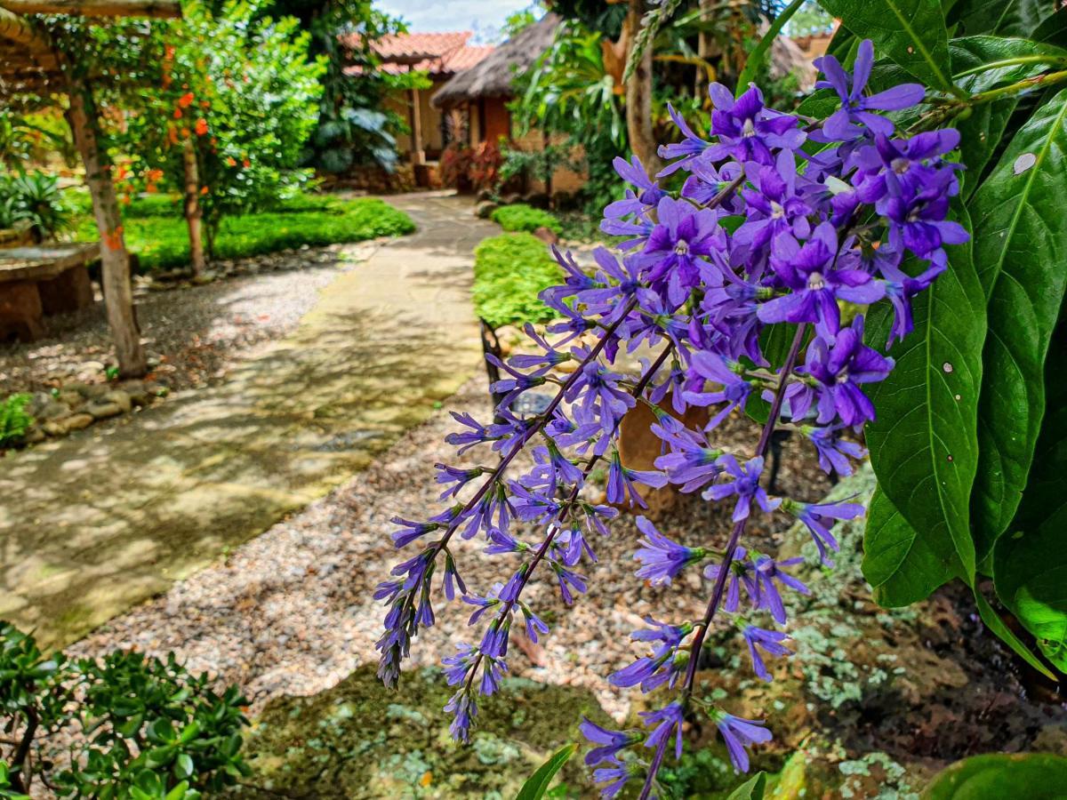 Hotel Terra บาริชารา ภายนอก รูปภาพ